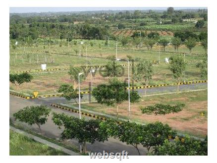 Film Nagar Residential Land for Sale